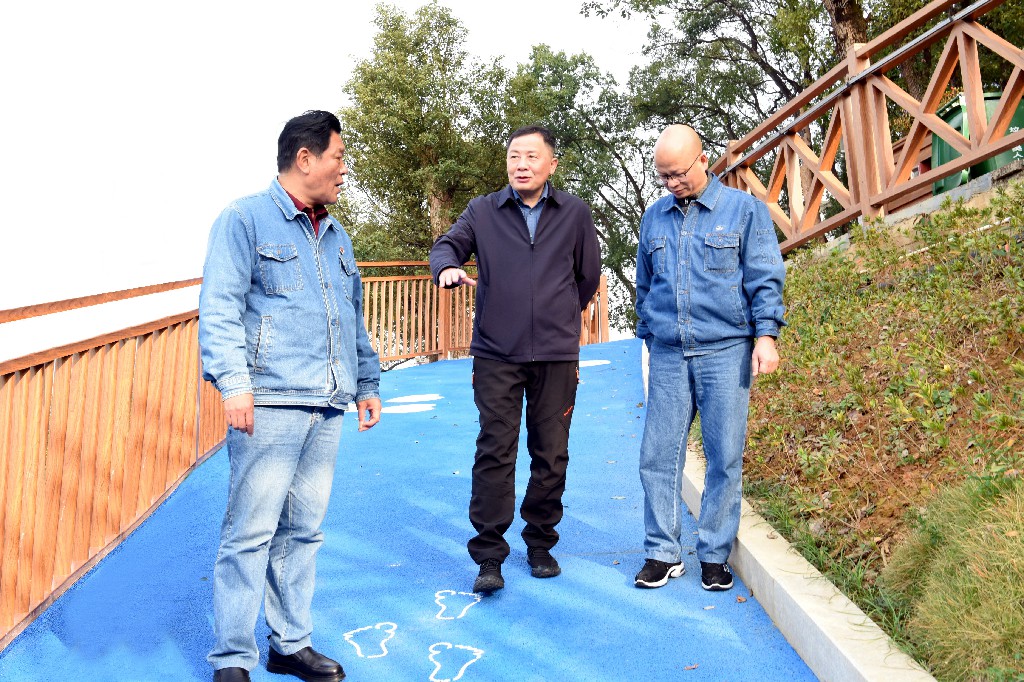 李翔書(shū)記四下基層南鋁社區調研-1.jpg